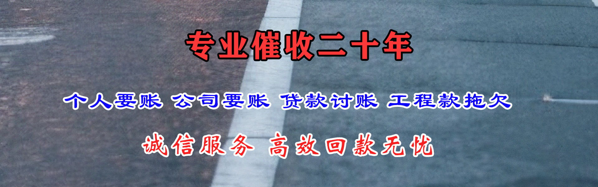 鸠江讨债公司